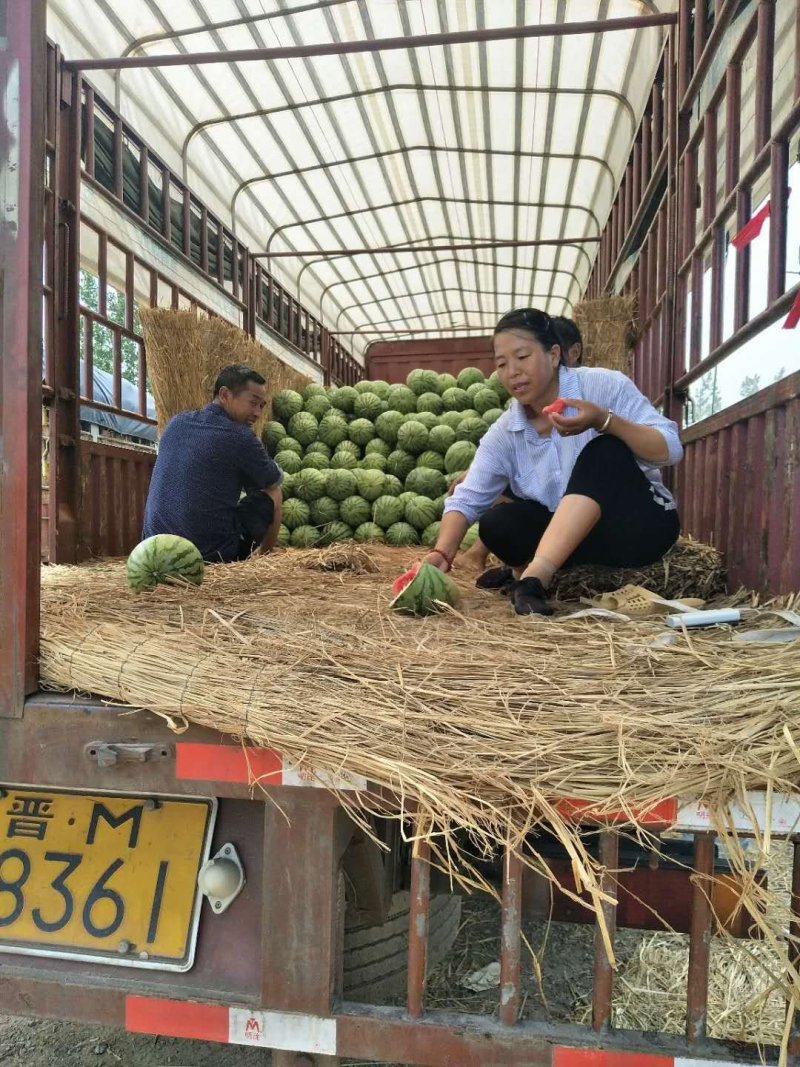 精品花无耔西瓜，个头大，好看，色泽鲜艳，口感脆甜！