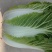 白菜