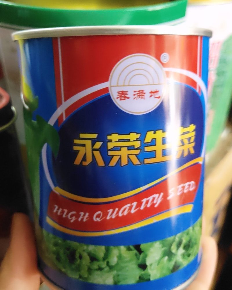 福州永荣意大利生菜种子耐抽苔抗热耐寒高产大田用种全年可种