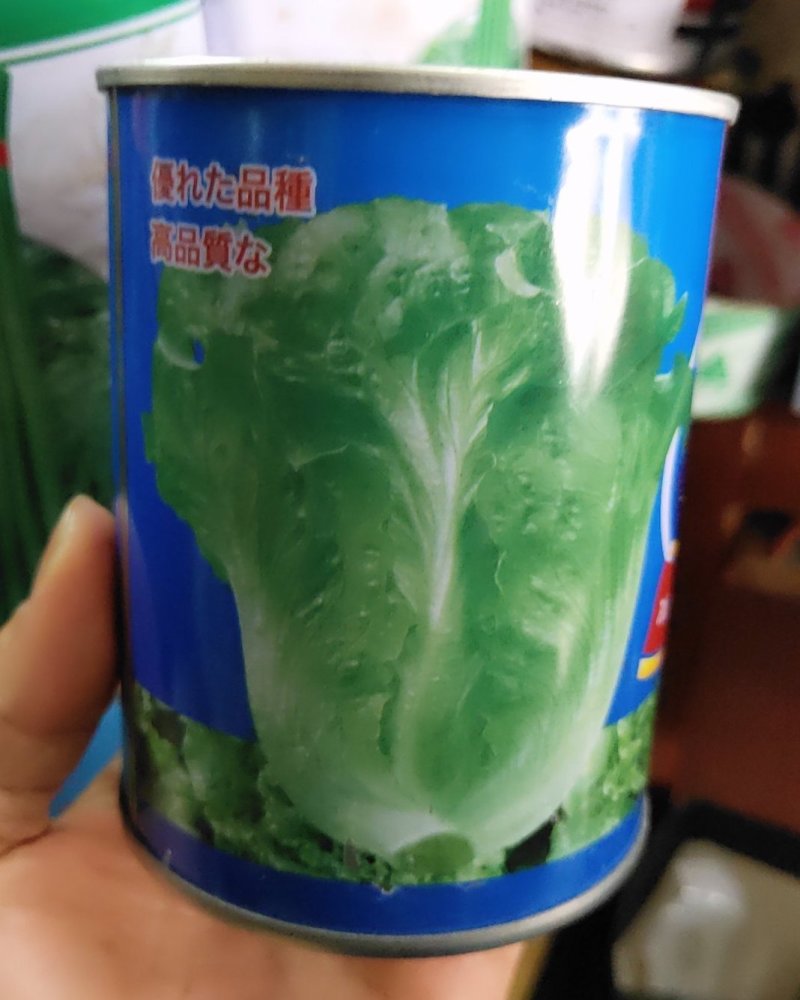 福州永荣意大利生菜种子耐抽苔抗热耐寒高产大田用种全年可种