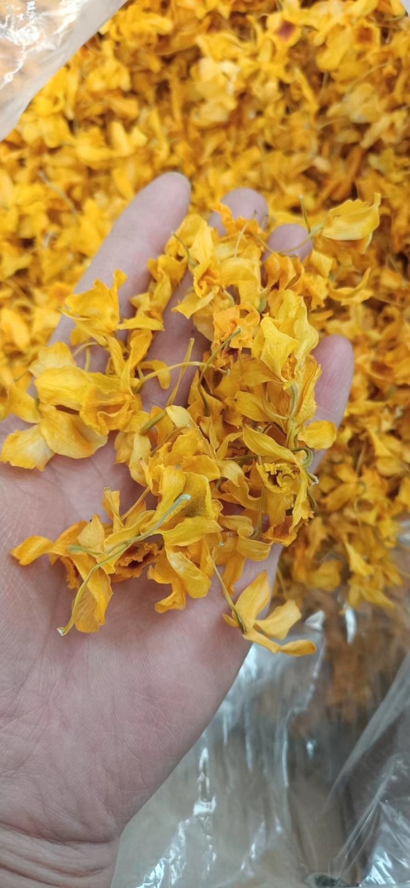 2020年云南鼓槌石斛干花无斑点干度好大量批发