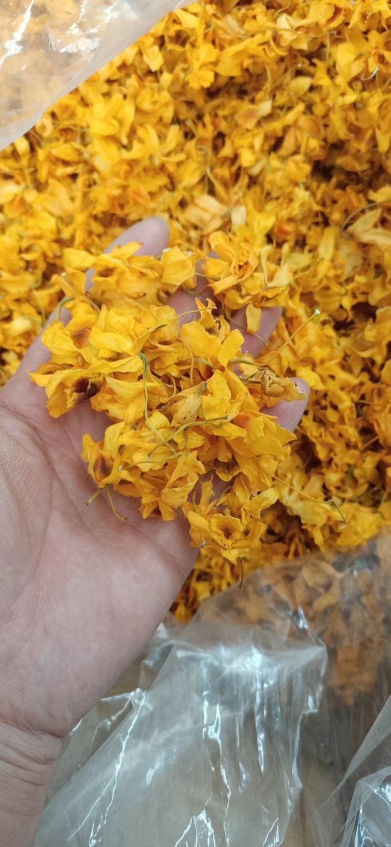 2020年云南鼓槌石斛干花无斑点干度好大量批发