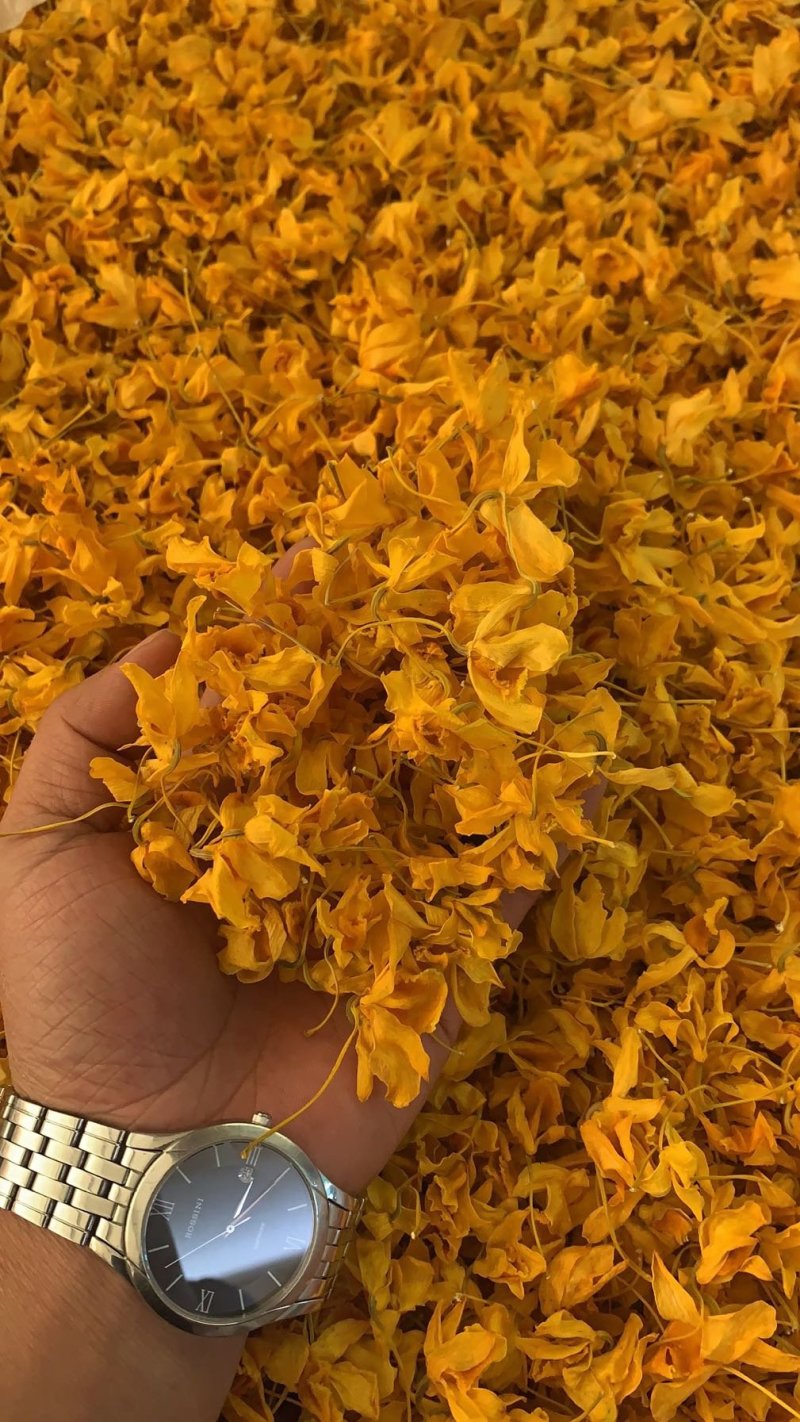 2020年云南鼓槌石斛干花无斑点干度好大量批发