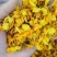 2020年云南鼓槌石斛干花无斑点干度好大量批发