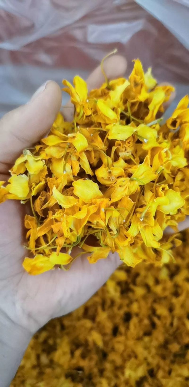 2020年云南鼓槌石斛干花无斑点干度好大量批发