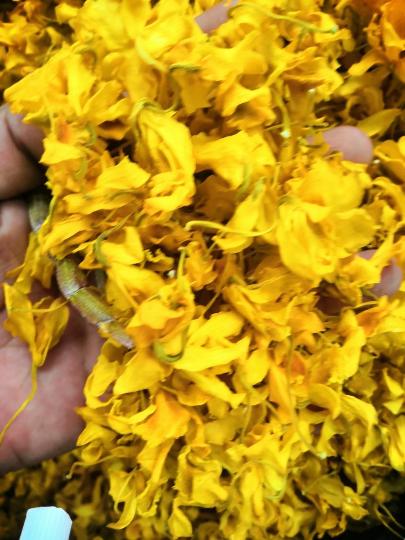 2020年云南鼓槌石斛干花无斑点干度好大量批发