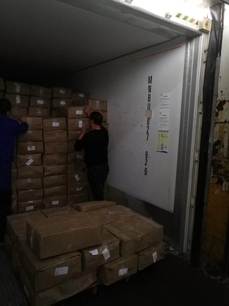 进口塞内加尔鲍螺黄金鲍大澳鲍白螺花螺木瓜螺生熟都有