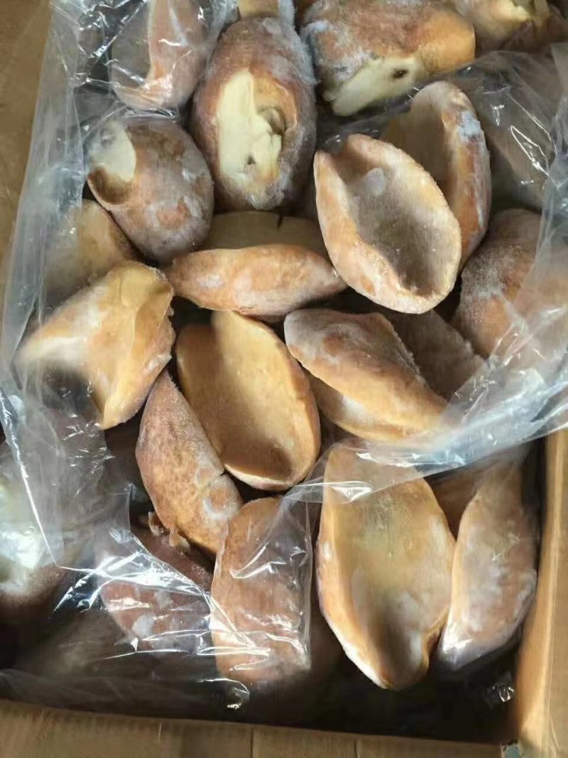 进口塞内加尔鲍螺黄金鲍大澳鲍白螺花螺木瓜螺生熟都有