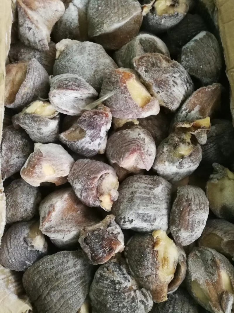 进口塞内加尔鲍螺黄金鲍大澳鲍白螺花螺木瓜螺生熟都有
