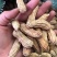 花生，七彩花生，缅甸进口七彩花生，云南七彩花生，花生种子