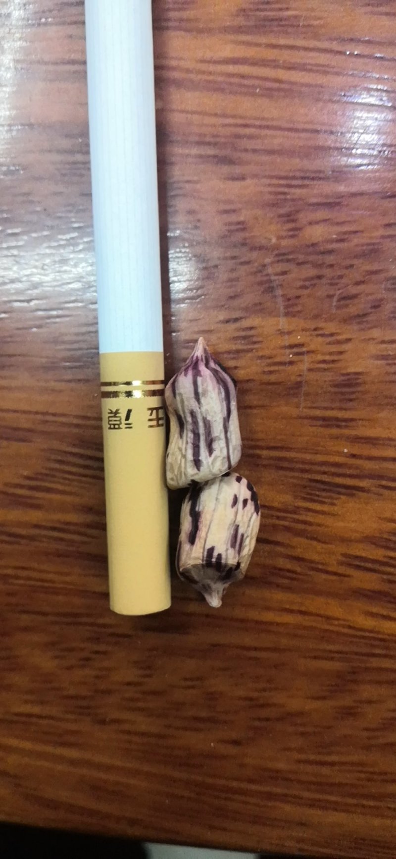 花生，七彩花生，缅甸进口七彩花生，云南七彩花生，花生种子