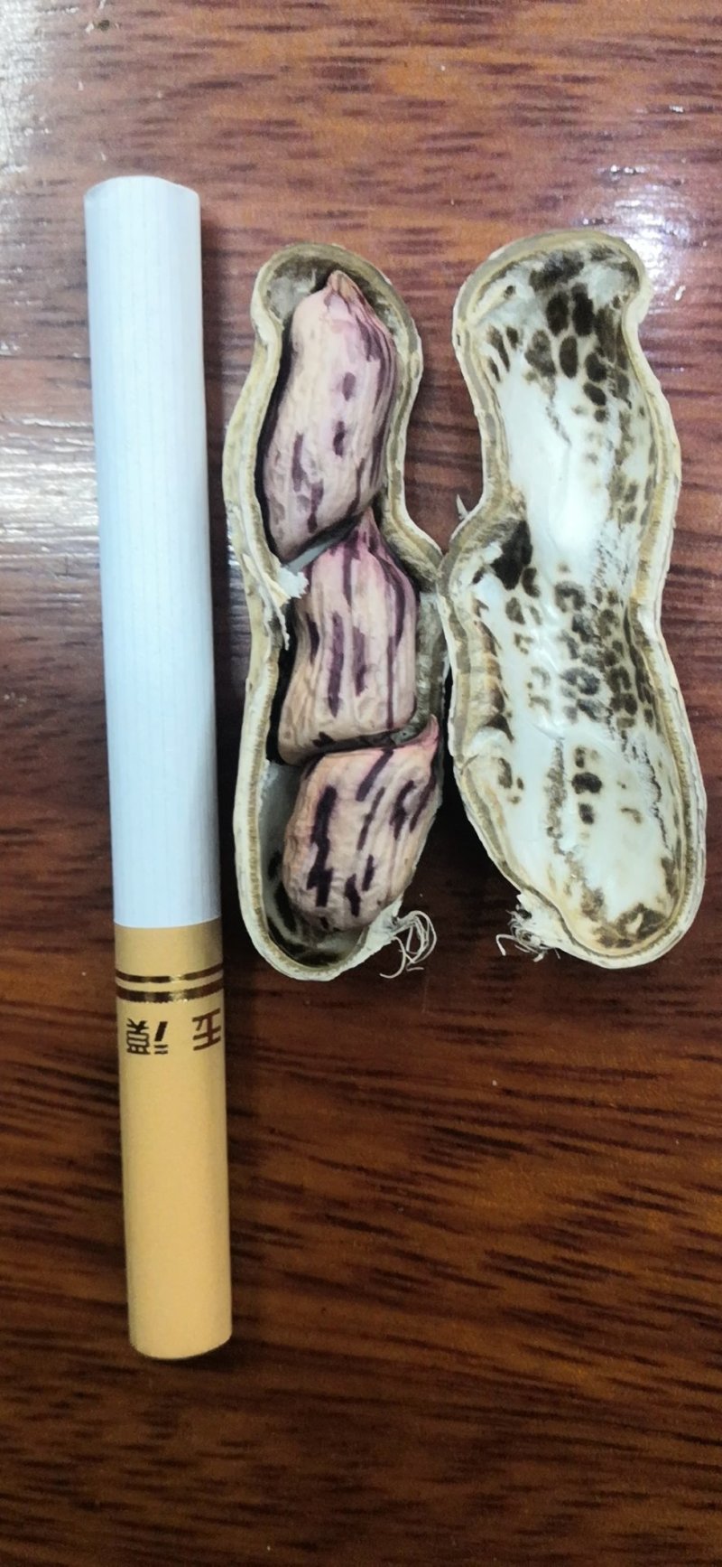 花生，七彩花生，缅甸进口七彩花生，云南七彩花生，花生种子