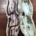 花生，七彩花生，缅甸进口七彩花生，云南七彩花生，花生种子