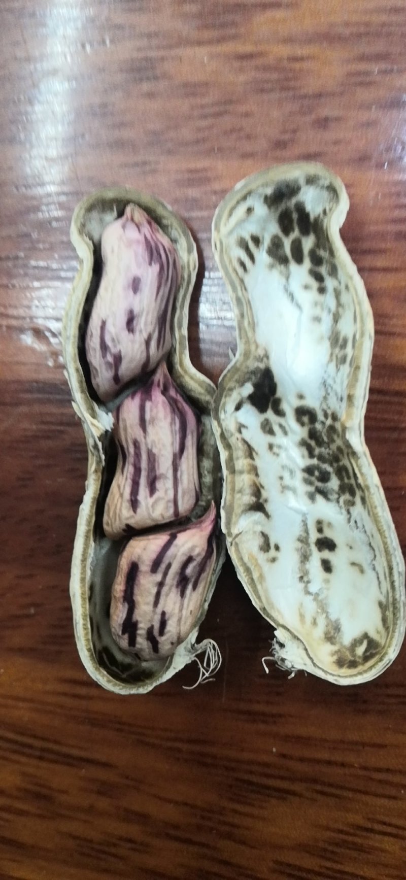 花生，七彩花生，缅甸进口七彩花生，云南七彩花生，花生种子