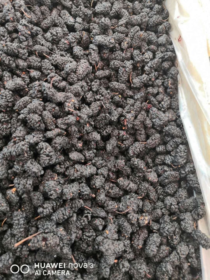 黑桑葚！桑椹干产地直销一手货源价格优！整件物流包邮！