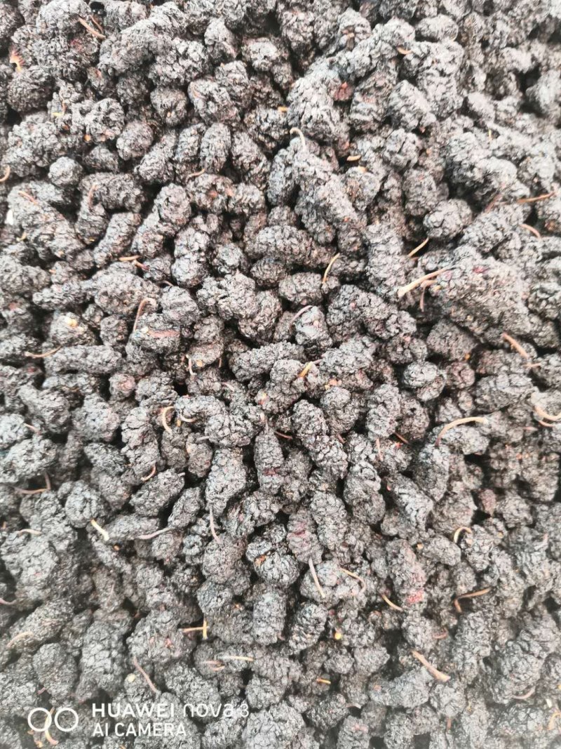 黑桑葚！桑椹干产地直销一手货源价格优！整件物流包邮！