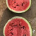 昌乐尧沟青州谭坊甜王西瓜10斤打底9成熟1茬