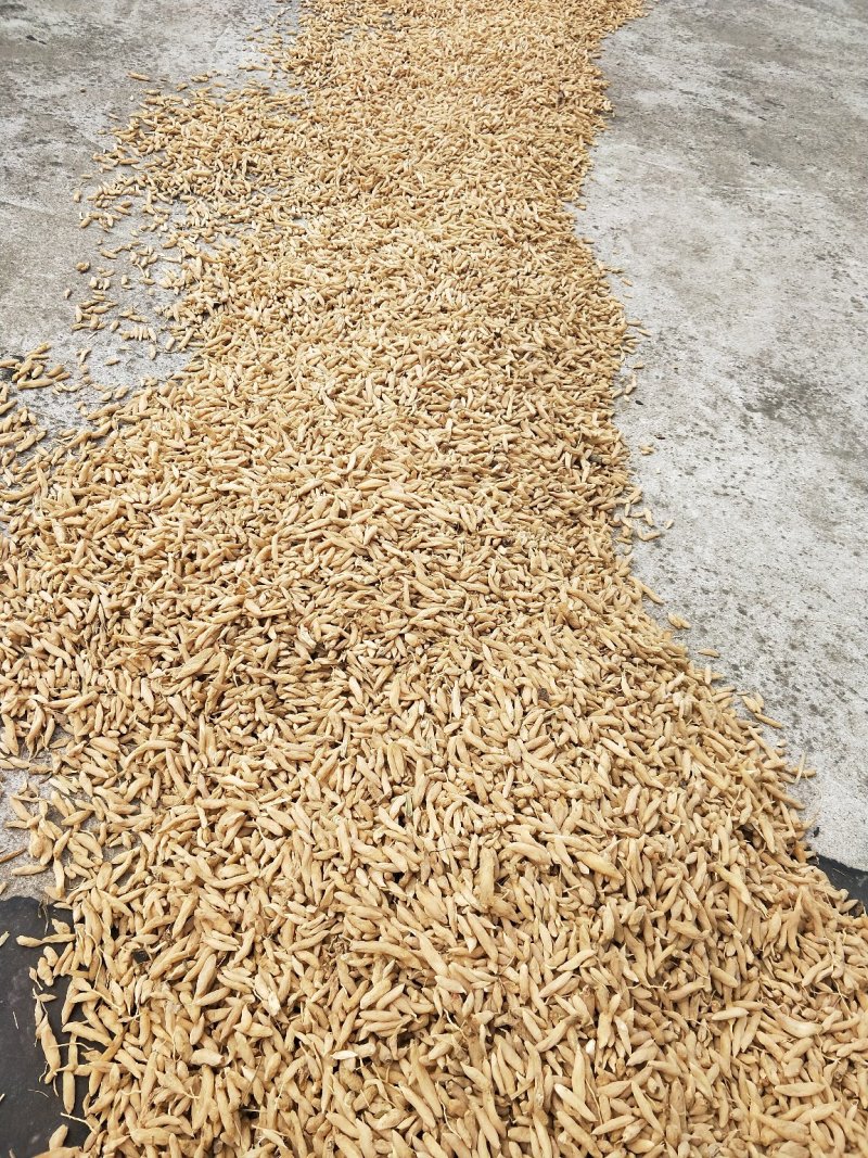 麦冬无硫，假一罚百，绿色种植，基地直供，药食共用