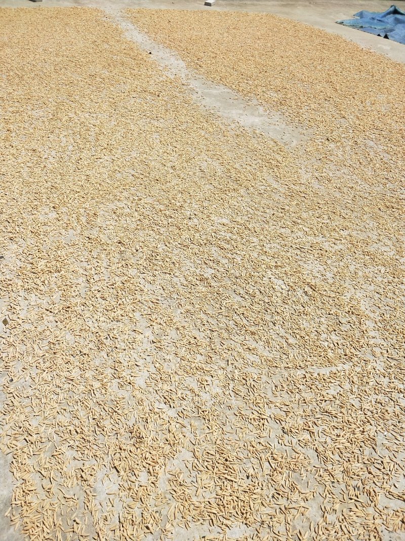 麦冬无硫，假一罚百，绿色种植，基地直供，药食共用