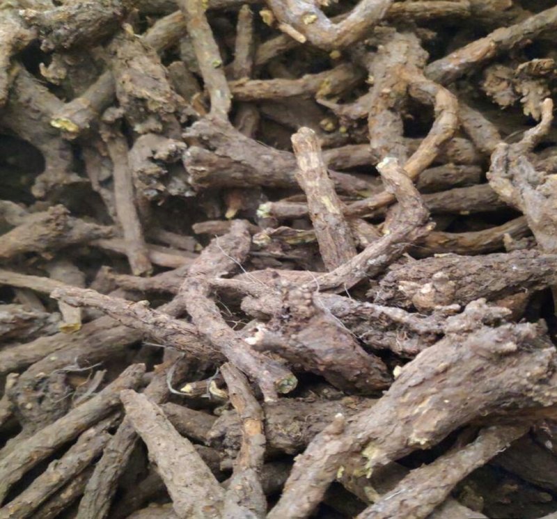 基地直供精选大条，原装统货，干净无杂，保质保量