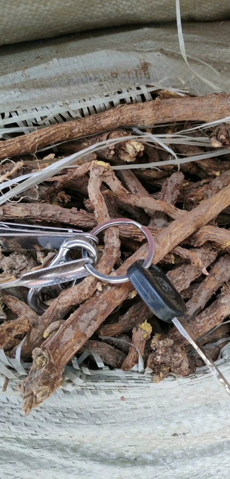 基地直供精选大条，原装统货，干净无杂，保质保量