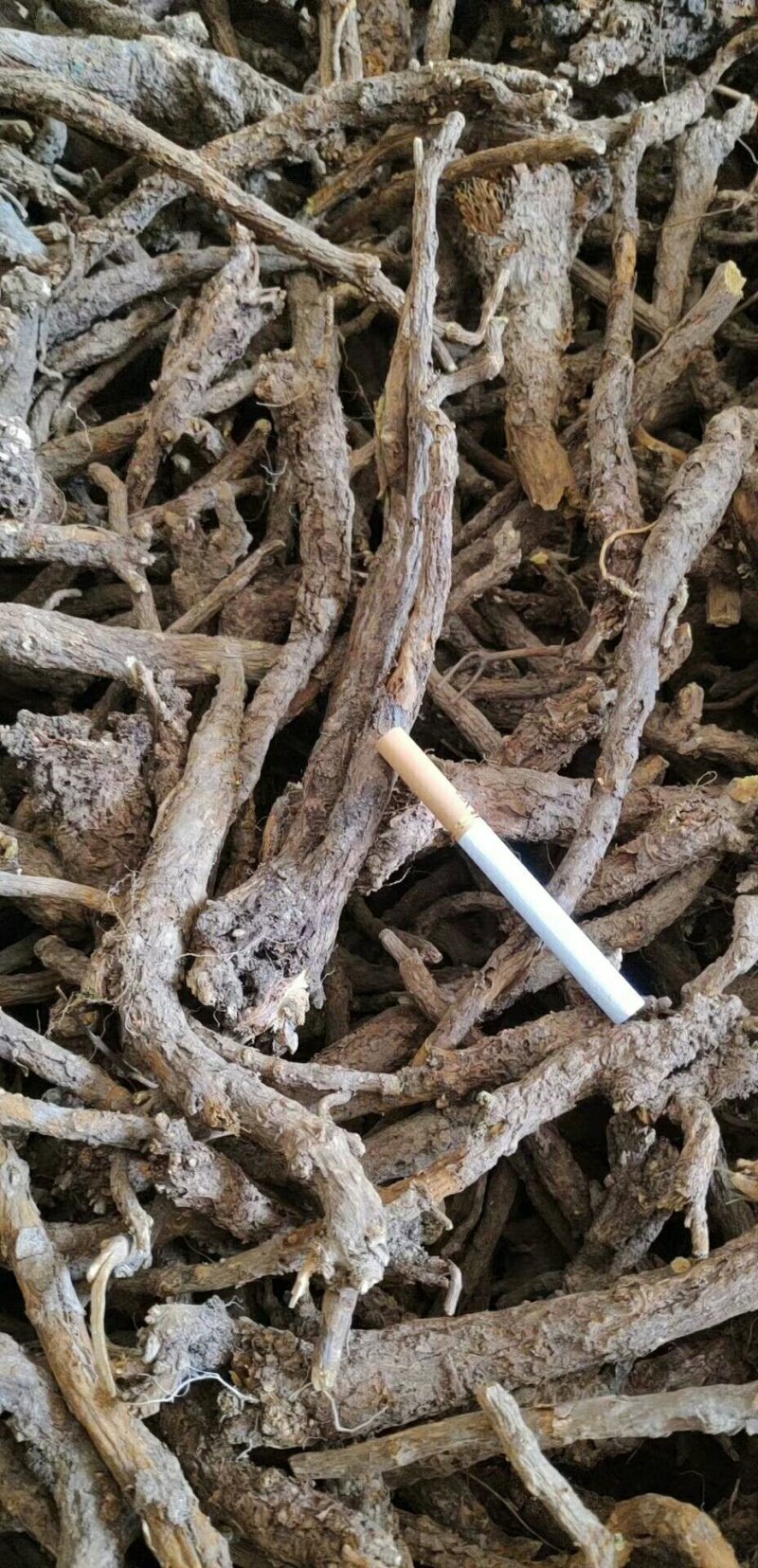 基地直供精选大条，原装统货，干净无杂，保质保量