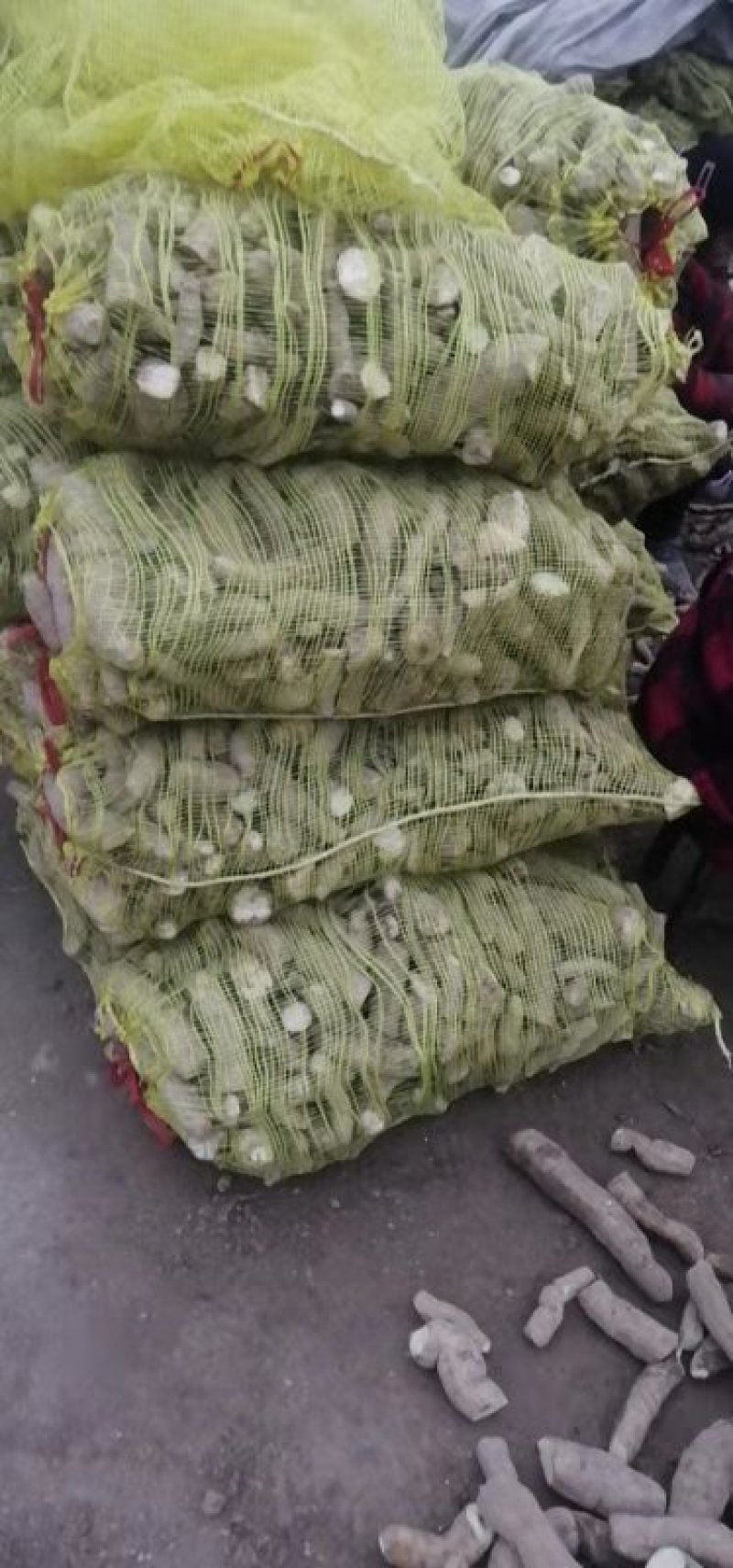 天花粉，江苏无硫烘干天花粉，多规格，量大从优
