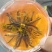 冬虫夏草玉树精选小草特价小草50根起全国包邮发货