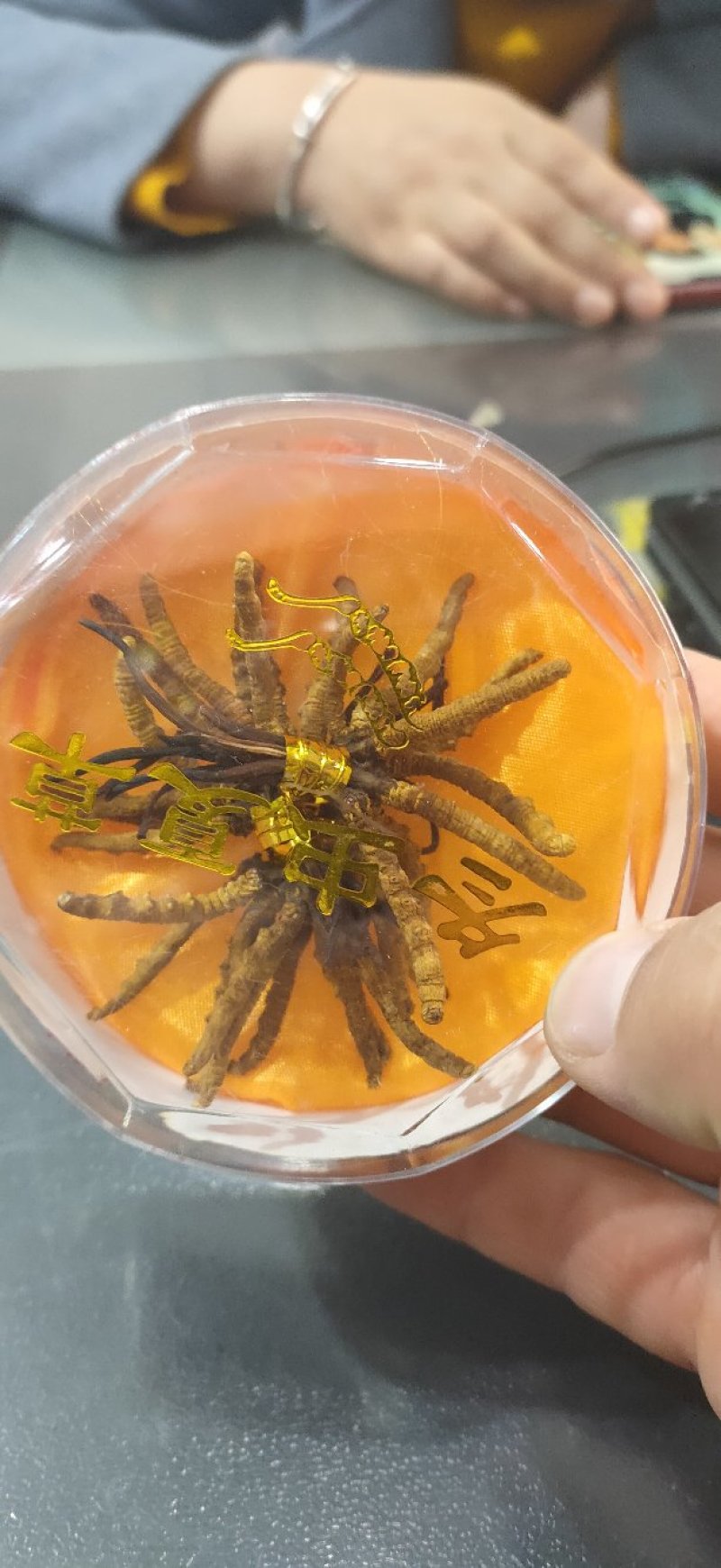 冬虫夏草玉树精选小草特价小草50根起全国包邮发货
