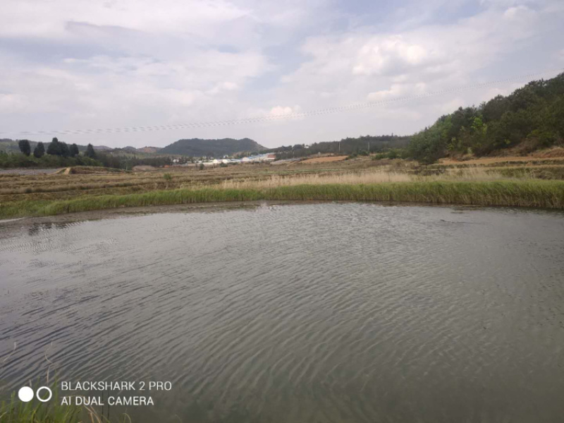 云南马龙区20亩水库+鱼塘+土地+房屋出租