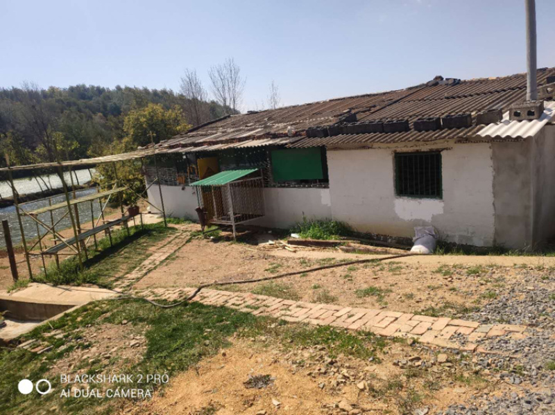 云南马龙区20亩水库+鱼塘+土地+房屋出租