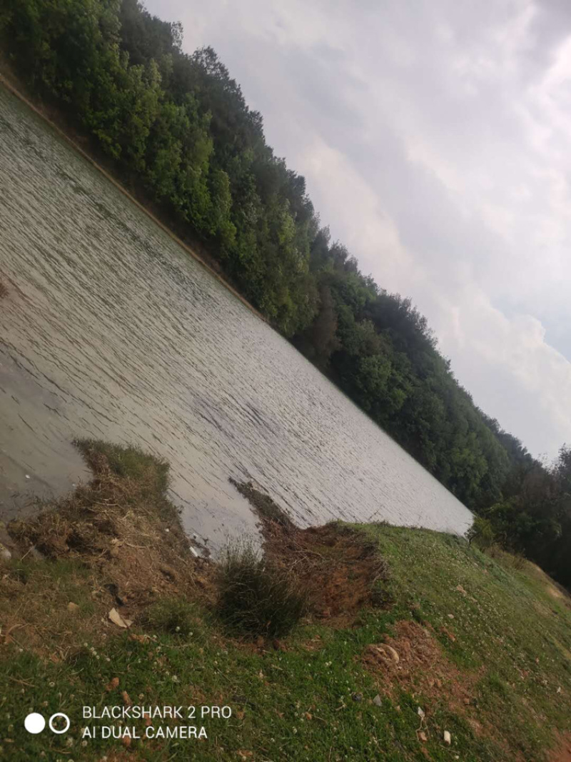云南马龙区20亩水库+鱼塘+土地+房屋出租