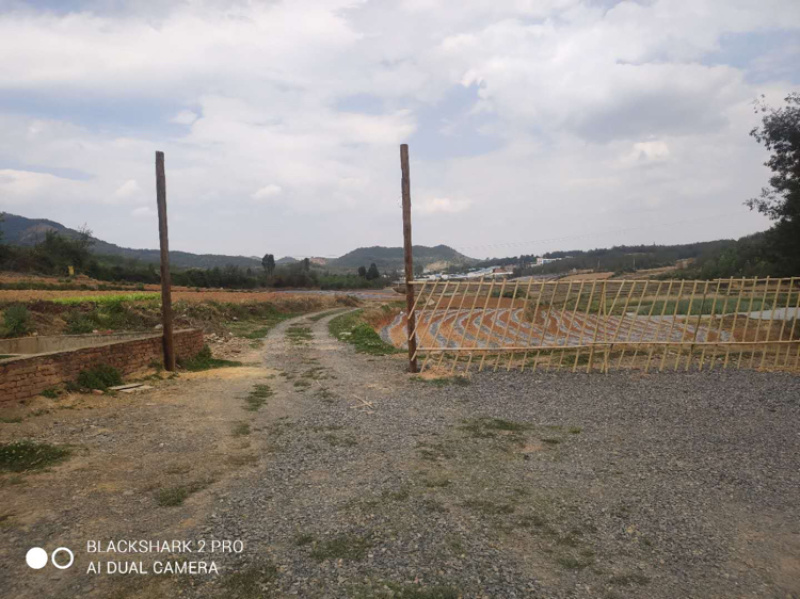 云南马龙区20亩水库+鱼塘+土地+房屋出租