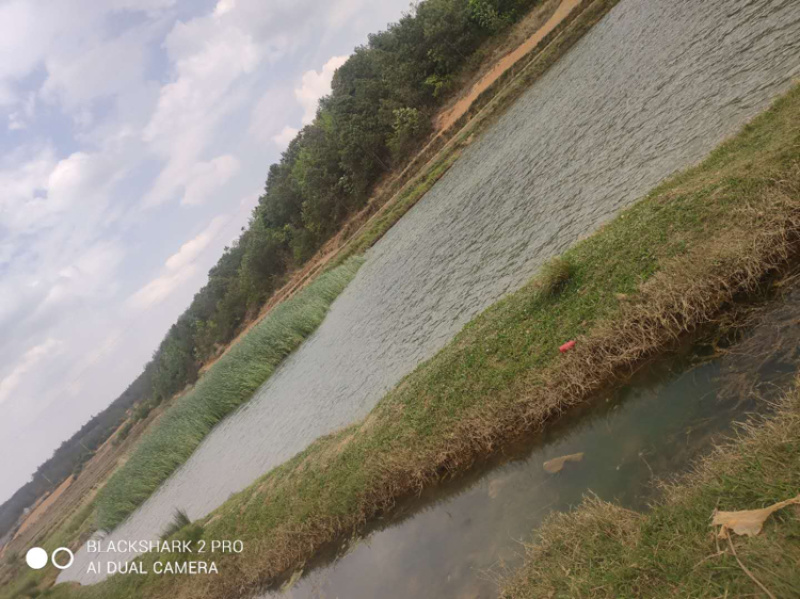 云南马龙区20亩水库+鱼塘+土地+房屋出租