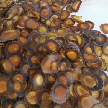 鹿茸腊片