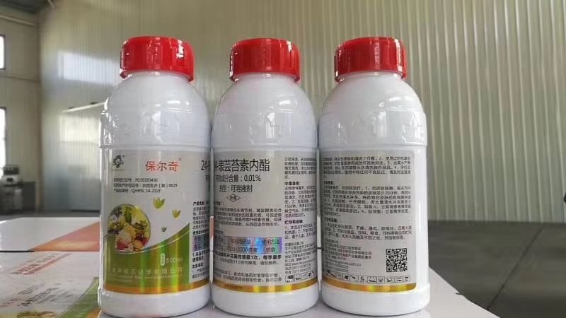 丰收乐保尔奇0.01%24表芸苔素内酯规格齐全