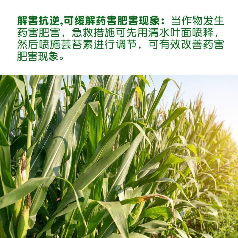 丰收乐保尔奇0.01%24表芸苔素内酯规格齐全