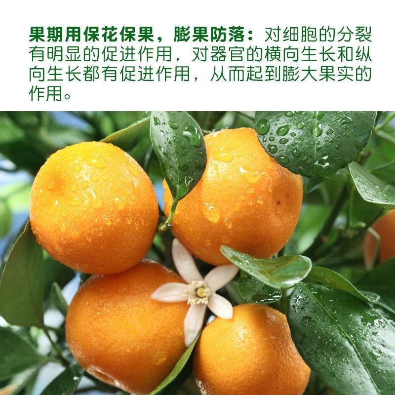 丰收乐保尔奇0.01%24表芸苔素内酯规格齐全