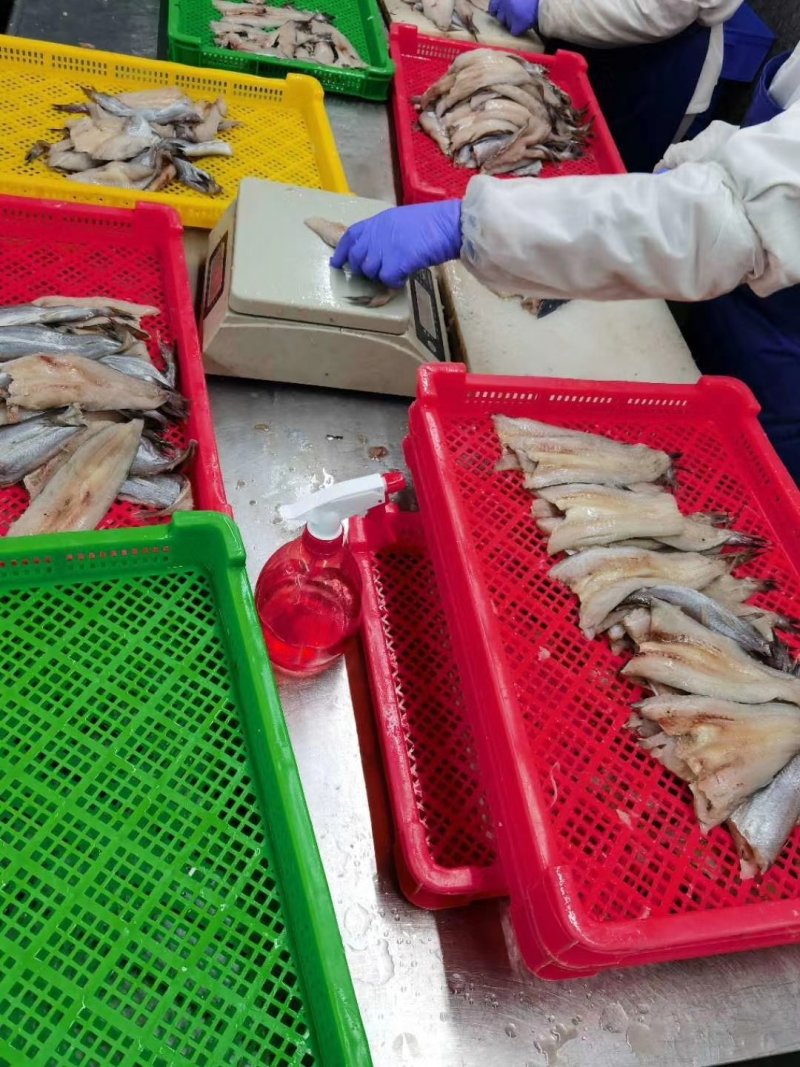 鳕鱼排深海鳕鱼排口感爽脆