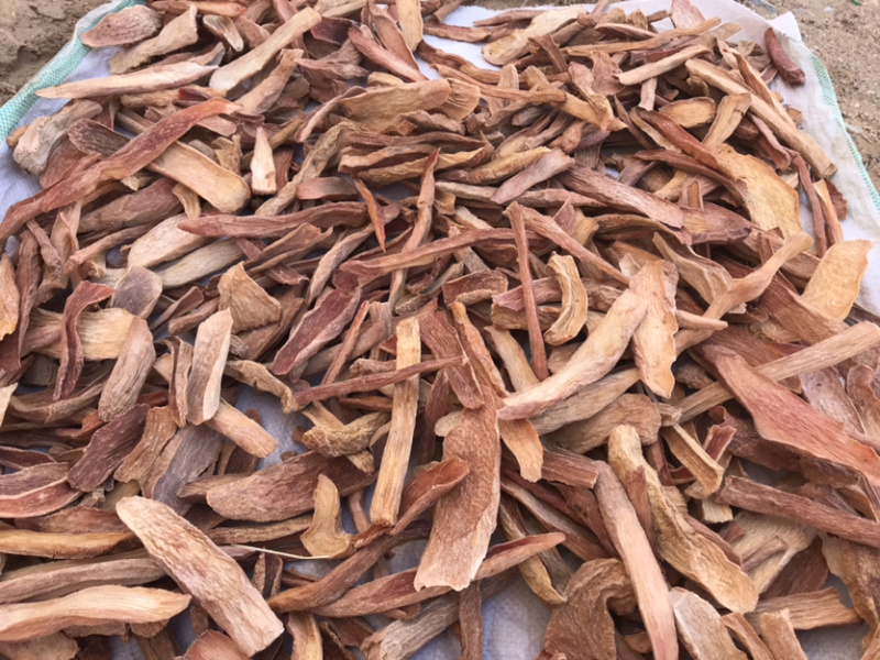 阿拉善去皮锁阳切片批发内蒙古发货物流发货非肉苁蓉