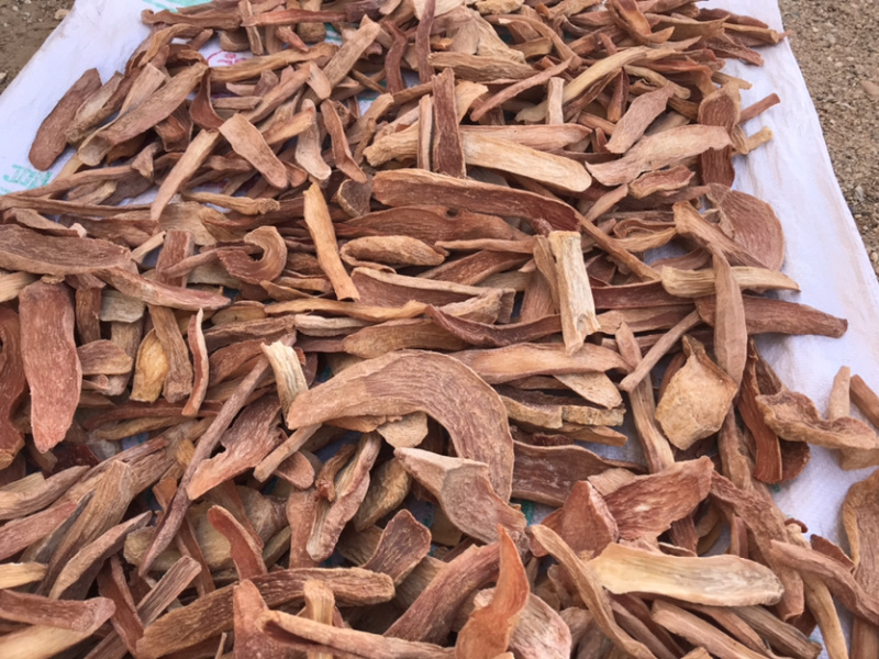 阿拉善去皮锁阳切片批发内蒙古发货物流发货非肉苁蓉