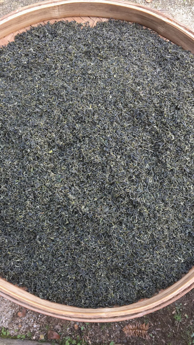 2025江西绿茶狗牯脑茶群体品种口感好耐泡