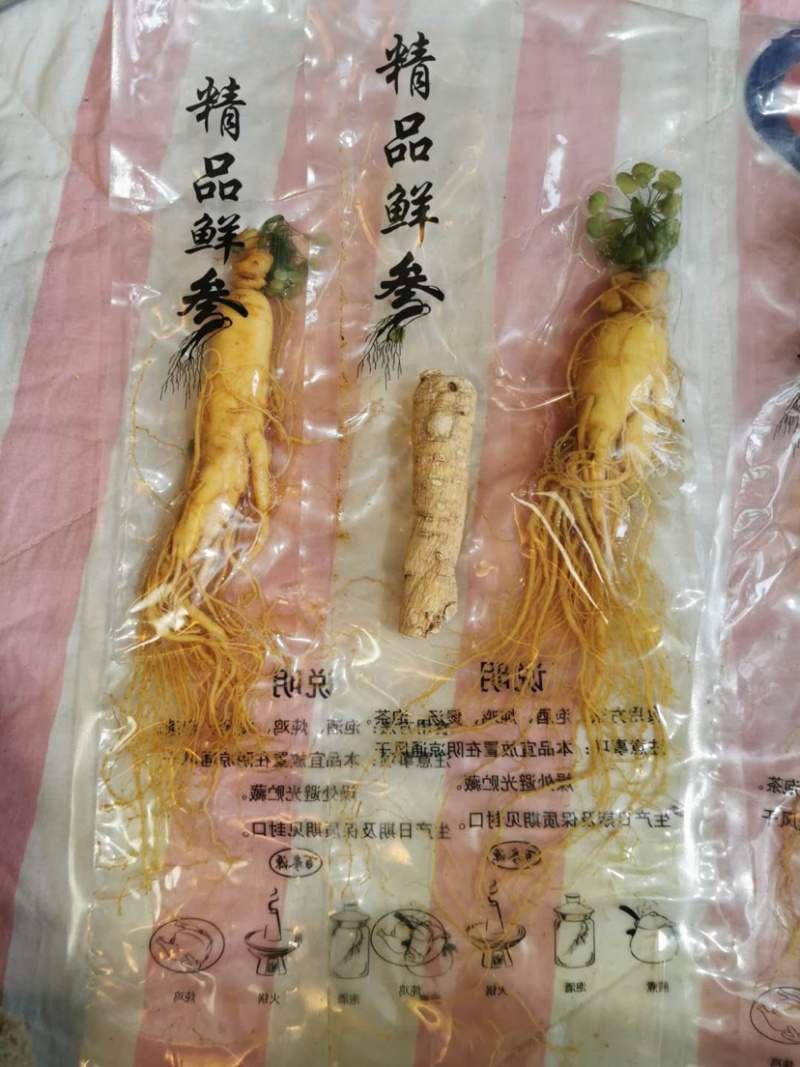 保鲜参袋装各种规格量大从优