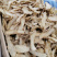 无硫天麻片生切片机切片各种规格量大从优