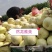 然龙雅美薄皮黄白瓜白脆肉500粒/袋支持线上交易