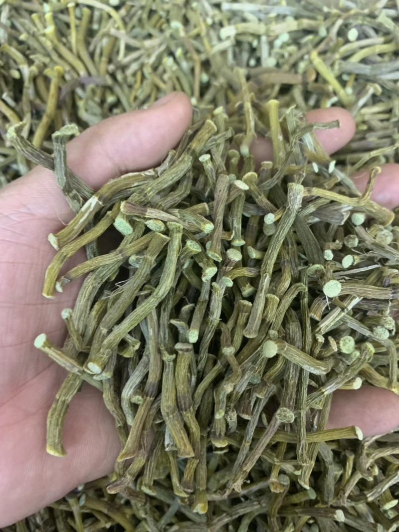 浙江种铁皮石斛寸金条，全化渣，饱满度好