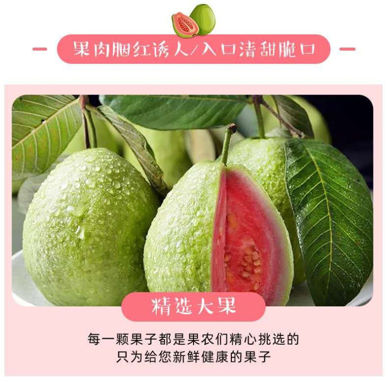 番石榴芭乐红心白心三斤五斤电商一件代发包邮