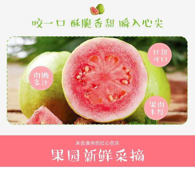 番石榴芭乐红心白心三斤五斤电商一件代发包邮
