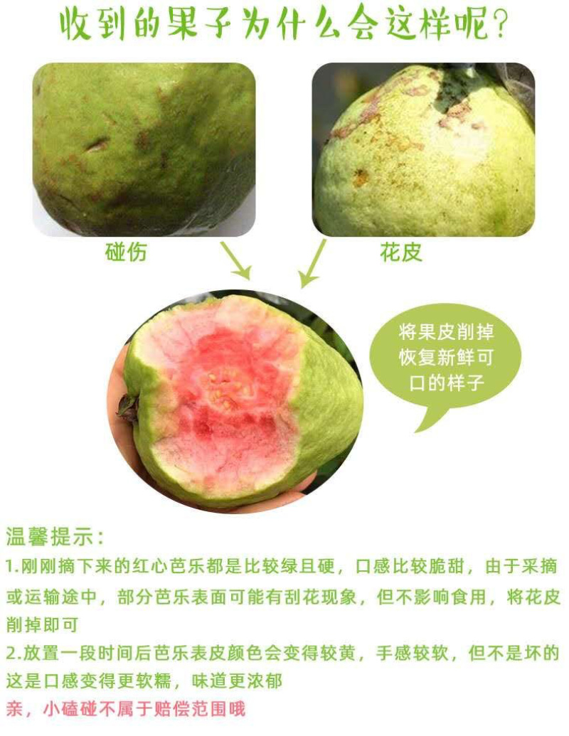 番石榴芭乐红心白心三斤五斤电商一件代发包邮