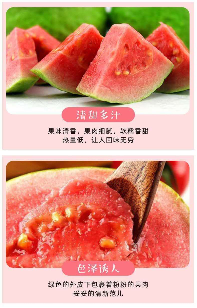 番石榴芭乐红心白心三斤五斤电商一件代发包邮